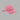 BACKNOW STUDIO - PINK BACKNOW STUDIO